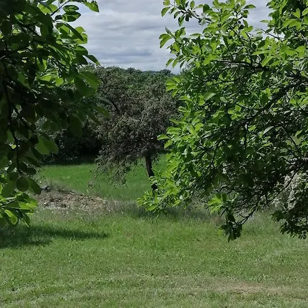 Le Mazet De Mon Pere Semesterbostad