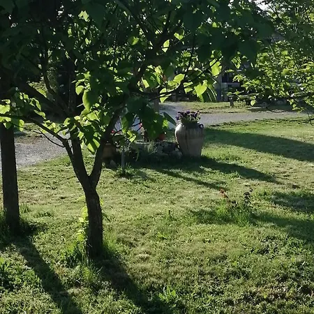 Le Mazet De Mon Pere Barjac (Gard)